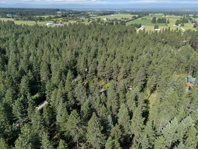 Aerial overview of property's location with a heavily wooded area | Image 29