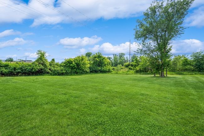 Common Green Space | Image 28