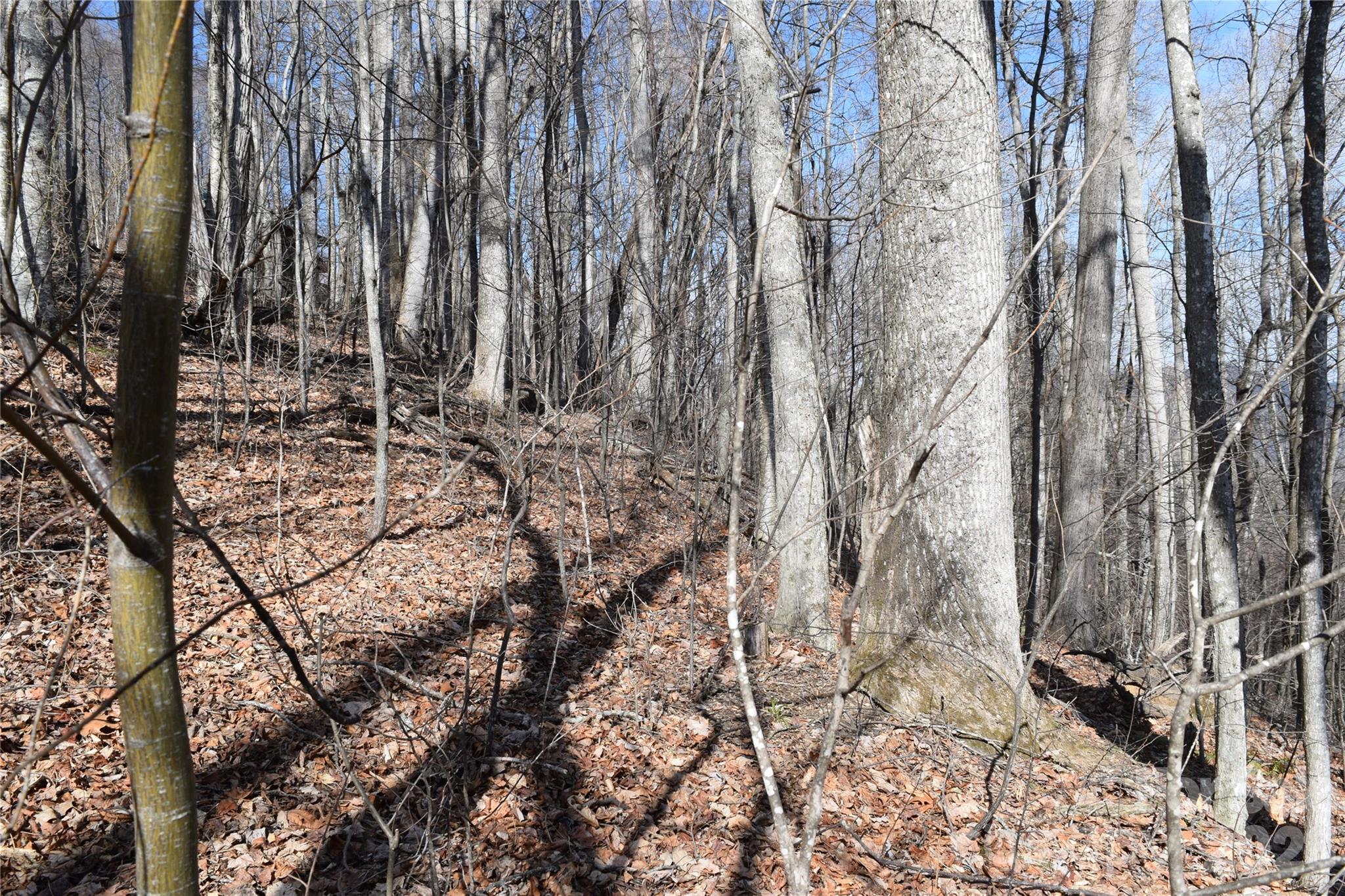 Land in Waynesville 5