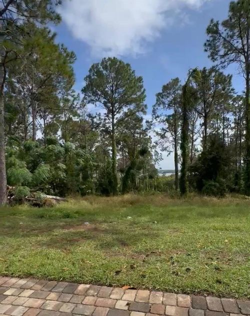 16139 Pendio Dr, BELLA COLLINA, FL, 34756-3651 | Card Image