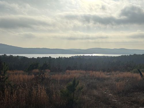 Lot 75 Waterview Drive, Roland, AR, 72135 | Card Image