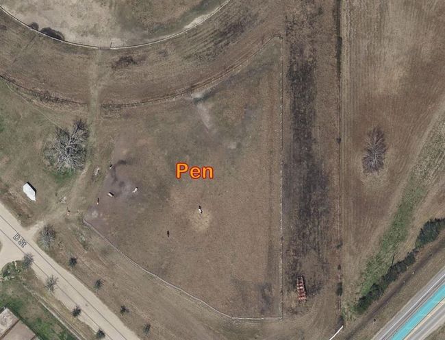 Pen & Starting Gates | Image 22