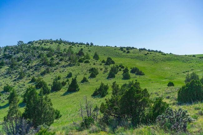 189 Reservoir Cutoff Rd, Home with 0 bedrooms, 0 bathrooms and null parking in Manhattan MT | Image 7