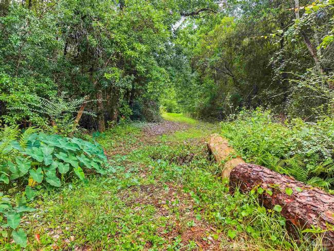 6640 Frank Reeder Rd, House other with 3 bedrooms, 2 bathrooms and 1 parking in Pensacola FL | Image 30