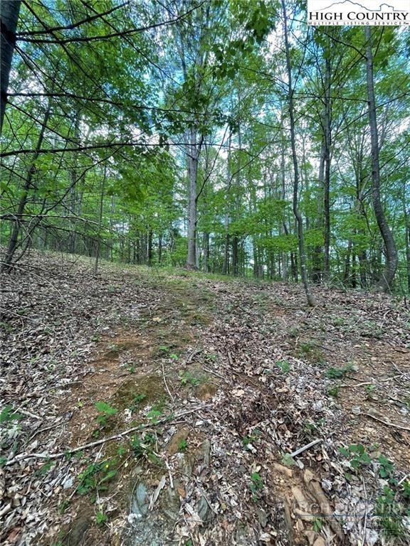 Land in Jefferson 5