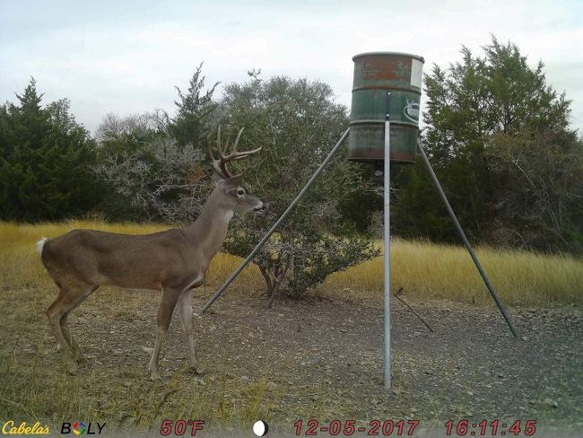 200 Hidden Path, Home with 0 bedrooms, 0 bathrooms and null parking in Lockhart TX | Image 13