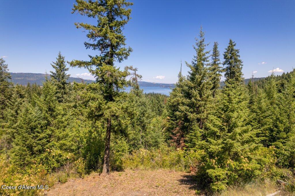 Land in Harrison 3