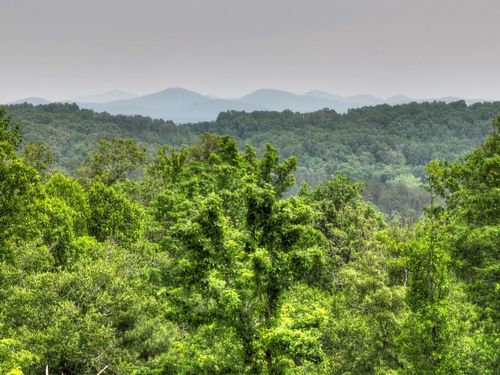 3.20 ac Hidden Acres, Blue Ridge, GA, 30513 | Card Image