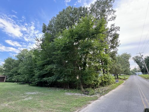 0 W Antioch Rd, Springville, TN, 38256 | Card Image