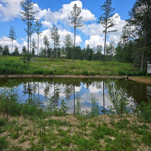 Tract 8 Boone Lane, Sunbright, TN, 37872 | Card Image