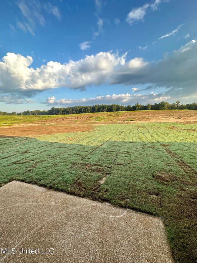 Back yard | Image 31