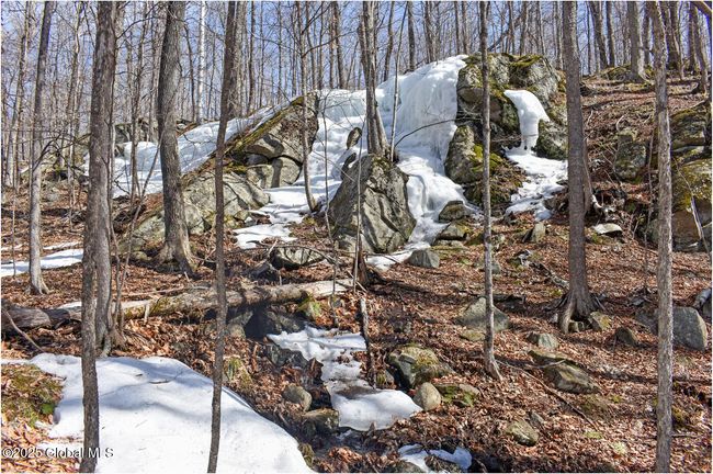 48 Durkin Rd, Home with 0 bedrooms, 0 bathrooms and null parking in North Creek NY | Image 45