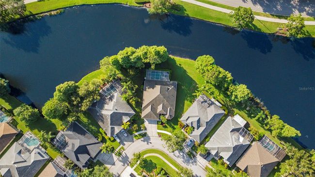 10751 Tavistock Dr, House other with 4 bedrooms, 4 bathrooms and null parking in Tampa FL | Image 62