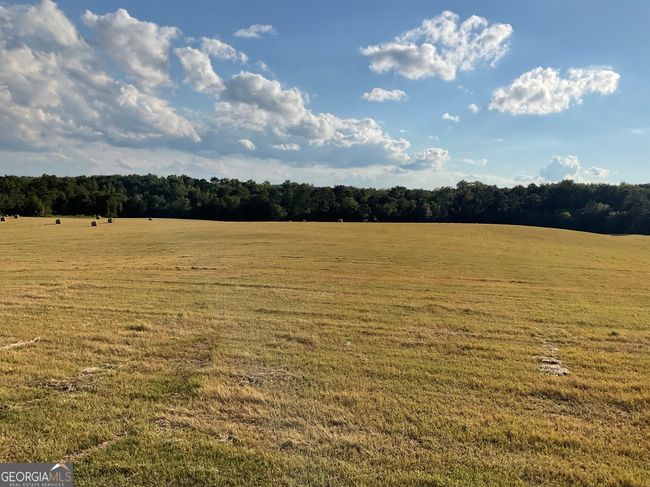 5773 Post Rd, Home with 0 bedrooms, 0 bathrooms and null parking in MONTICELLO GA | Image 13