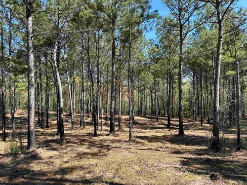 Lot 6 - TBD Old Camp Ln., Salters, SC, 29590 | Card Image