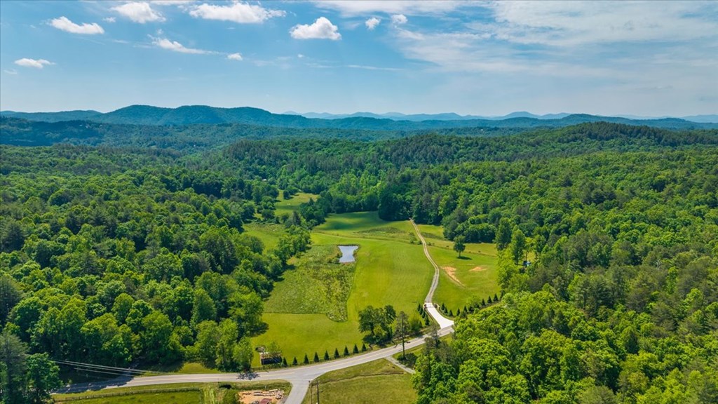 Land in Mineral Bluff 5
