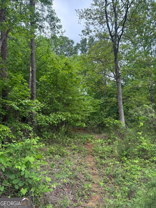 53 Cardinal Ln, Toccoa, GA, 30577-7126 | Card Image