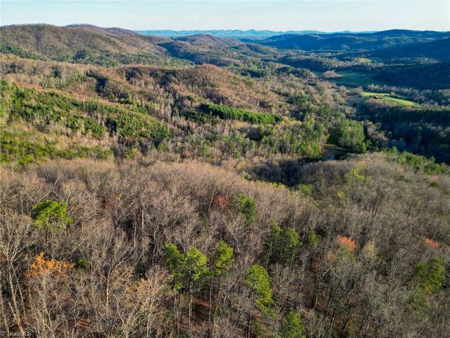 000 Gowings Knob Rd, Home with 0 bedrooms, 0 bathrooms and null parking in Mc Grady NC | Image 8