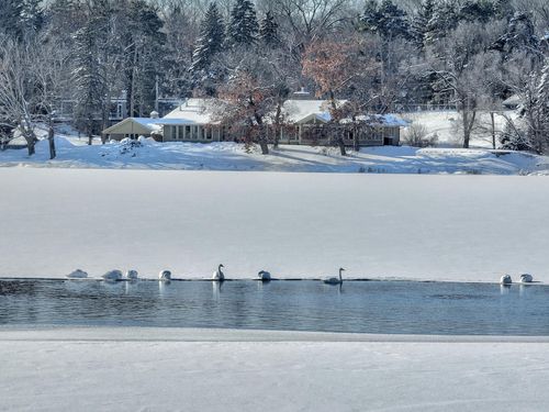 4 W Shore Rd, NORTH OAKS, MN, 55127-6450 | Card Image