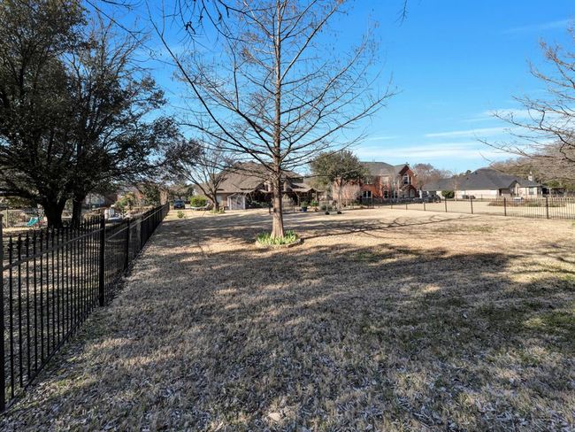 Beautiful grass will soon become vibrant green | Image 49