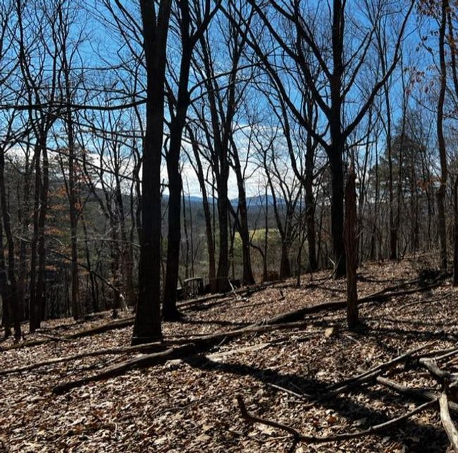 Elm View | Image 4