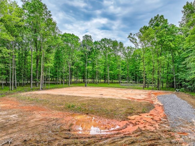 181 Hickory Hollow Ln, Home with 0 bedrooms, 0 bathrooms and null parking in Cecil AL | Image 4