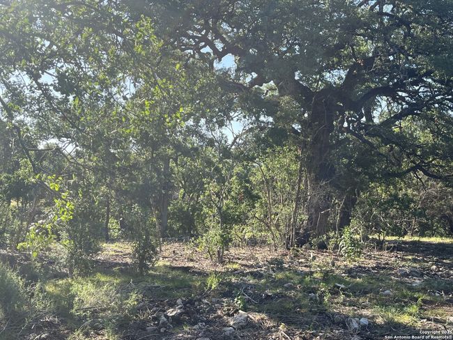 0 Rolling Crk, Home with 0 bedrooms, 0 bathrooms and null parking in Spring Branch TX | Image 21