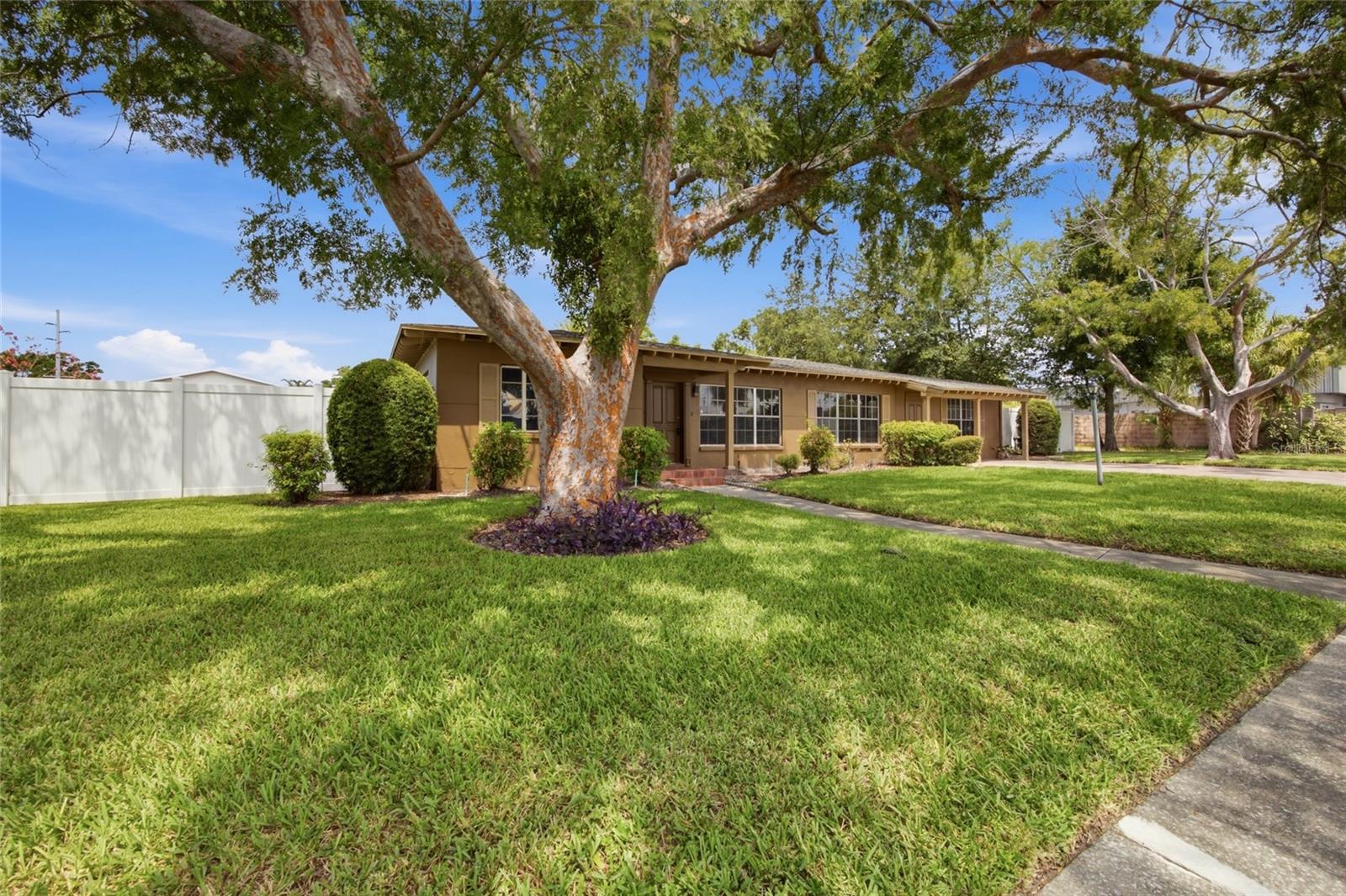 Residential Lease in TAMPA 3