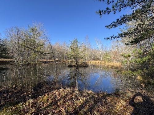 224 Azalea Ridge Rd, Tracy City, TN, 37387-4697 | Card Image