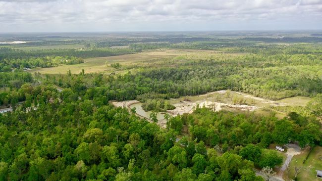 2771 S Highway 71, Home with 0 bedrooms, 0 bathrooms and null parking in Wewahitchka FL | Image 21