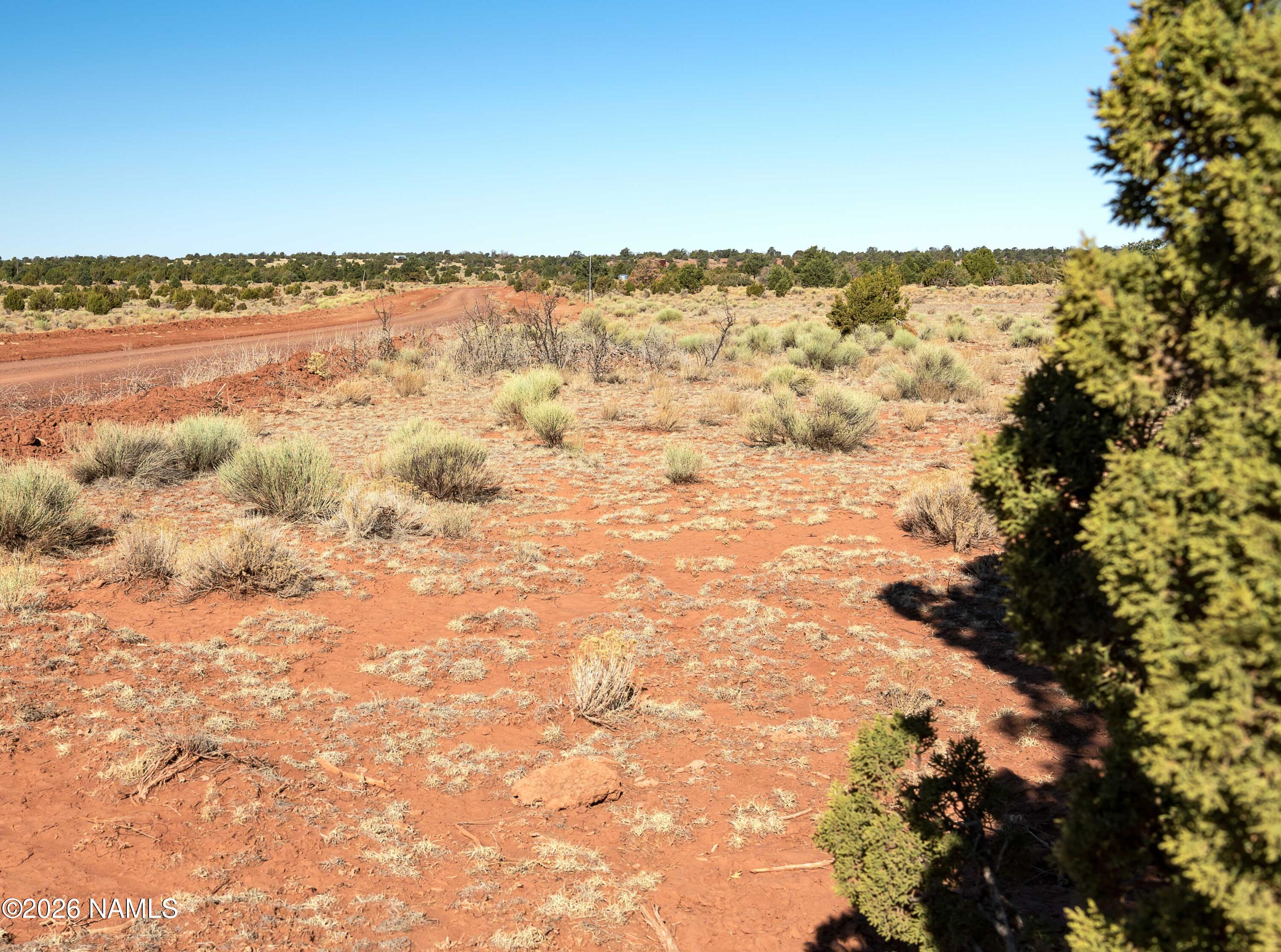 Land in Seligman 5