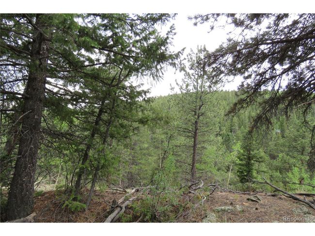 0 Come And See Mine, Home with 0 bedrooms, 0 bathrooms and null parking in Central City CO | Image 22