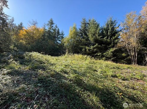 0 Chelsamish Dr, Sequim, WA, 98382 | Card Image