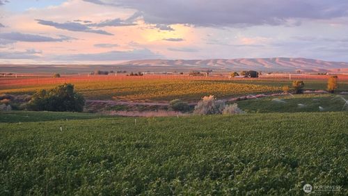 125498 W Mccreadie, Prosser, WA, 99350 | Card Image