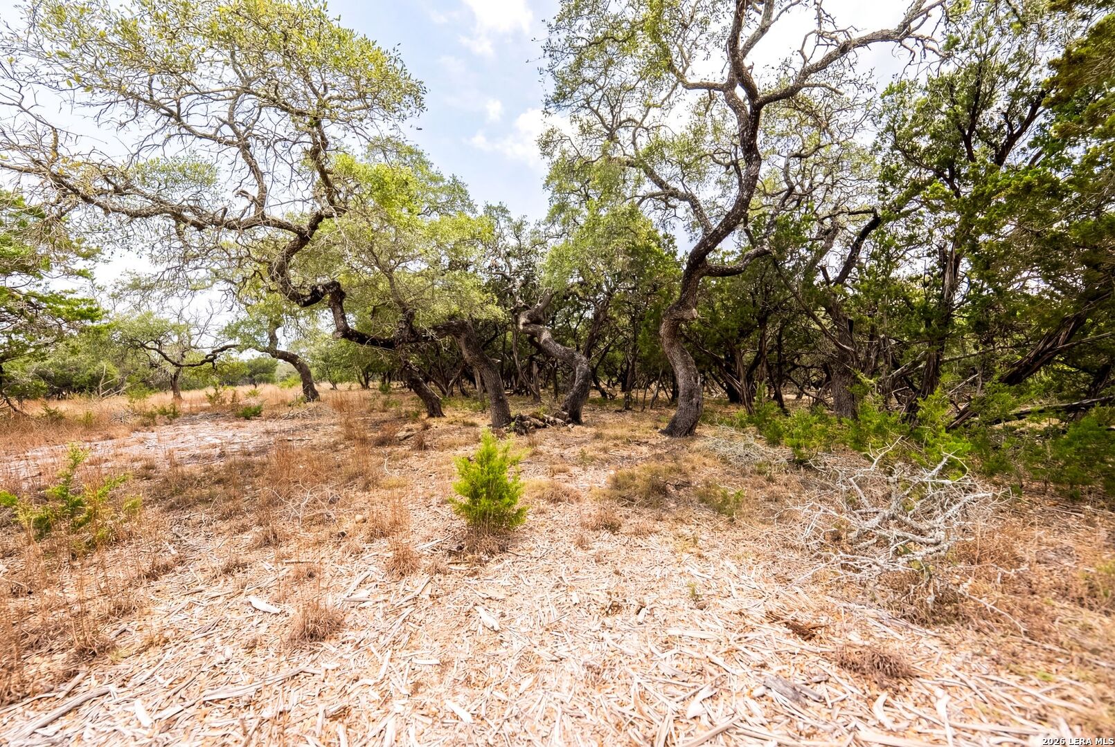 Land in Boerne 4