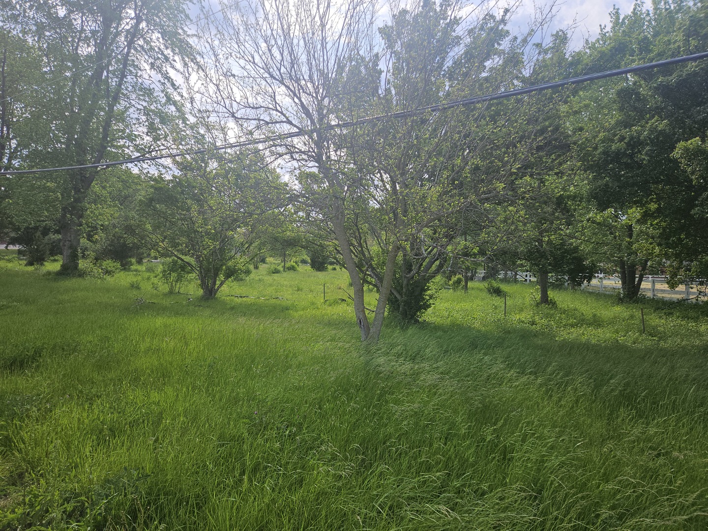 Land in Crete 3