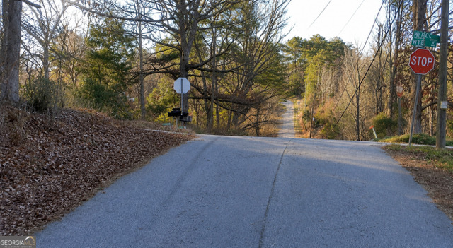 Land in Conyers 5