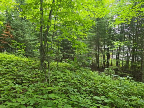 2468 Boat Landing Lake Rd, Bruce Crossing, MI, 49912 | Card Image