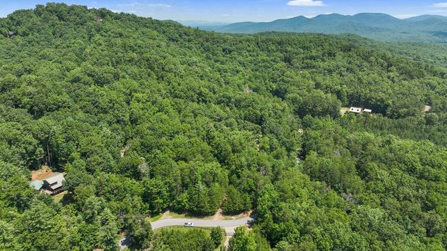 Lot 1 High Knee Rd, Home with 0 bedrooms, 0 bathrooms and null parking in Cherry Log GA | Image 4