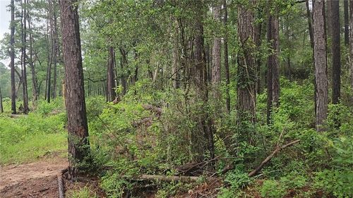Lot 33 Gum Tree Ln, Plantersville, TX, 77363 | Card Image