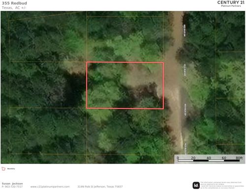 355 Redbud Dr, Harleton, TX, 75651-3618 | Card Image