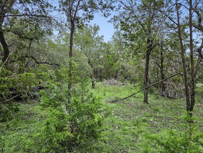 157 Verbena Cir, Home with 0 bedrooms, 0 bathrooms and null parking in Spring Branch TX | Image 16