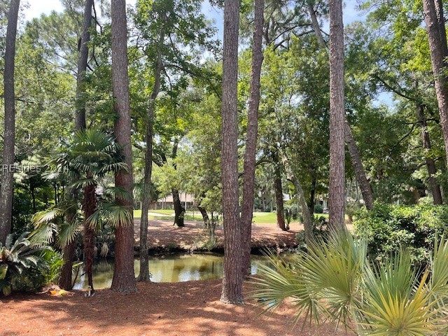 Isle Of Pines Dr, Hilton Head Island, SC 29928