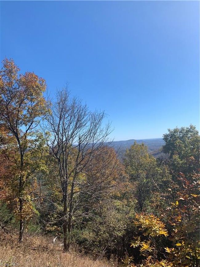 Lot 9 Falcon Ridge Dr, Home with 0 bedrooms, 0 bathrooms and null parking in Moravian Falls NC | Image 11