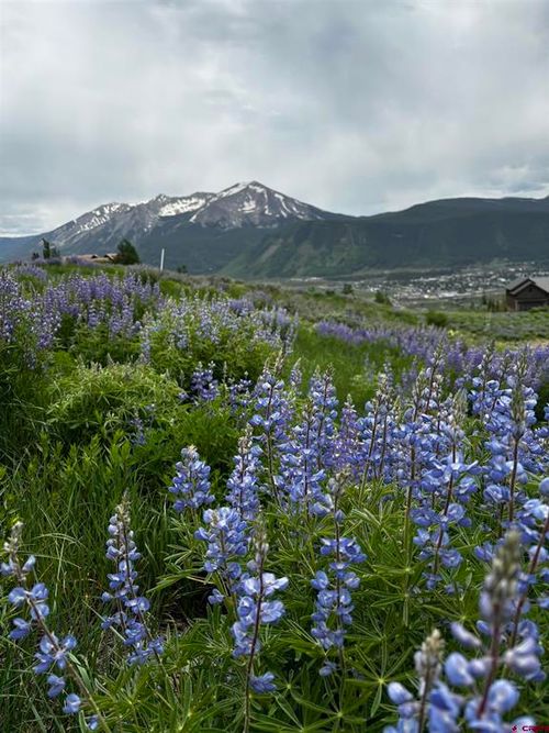 57 Summit Rd, Crested Butte, CO, 81225 | Card Image