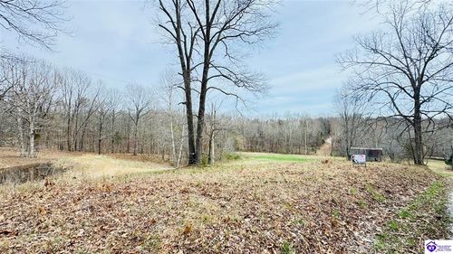 425 Macedonia Ln, Falls Of Rough, KY, 40119-4414 | Card Image