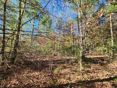 Lot 25 Shotgun Annie Rd, Jamestown, TN, 38556 | Card Image