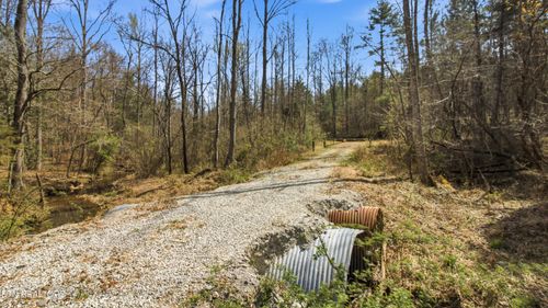 206 Dan Young Rd, Robbins, TN, 37852 | Card Image