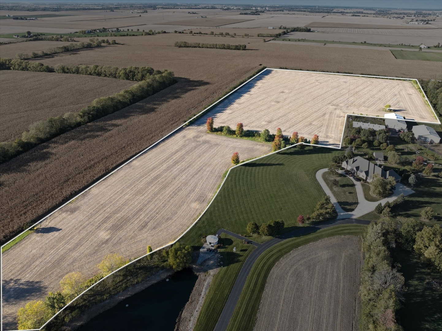 Farm in Manhattan 3