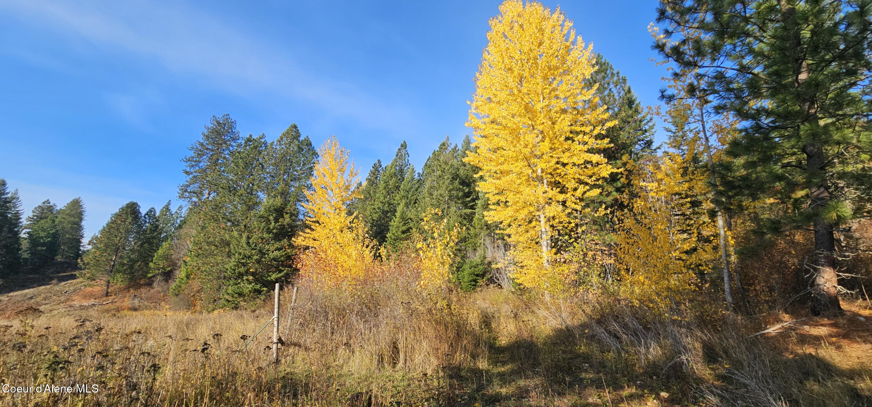Land in Priest River 3